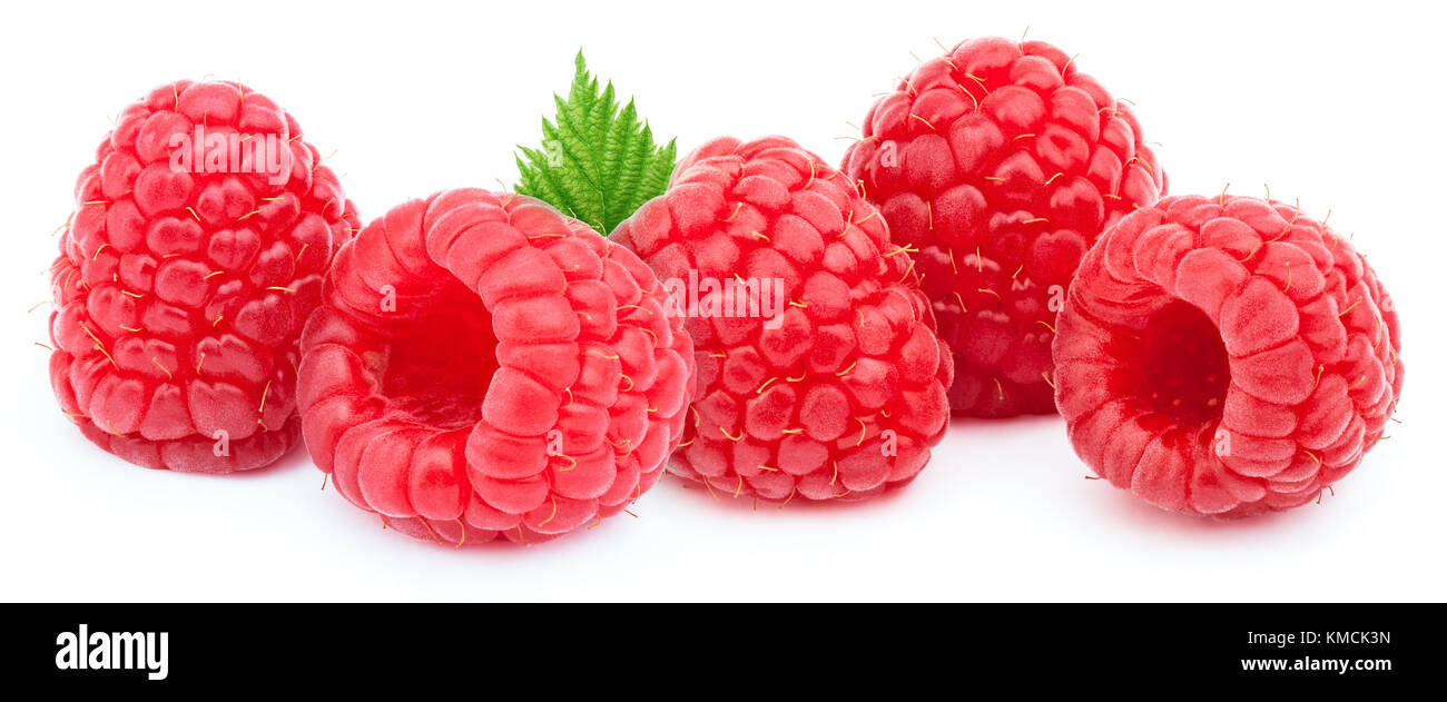 Five ripe raspberries in a line with green leves isolated on white ...