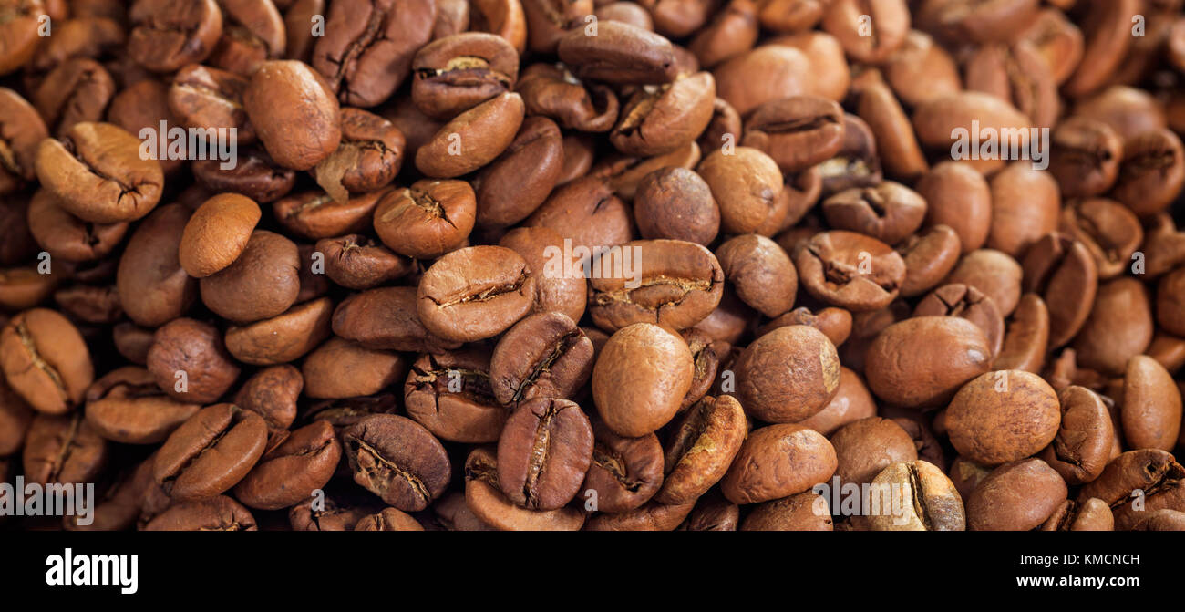 Light brown roasted coffee beans background. Close up view with details ...