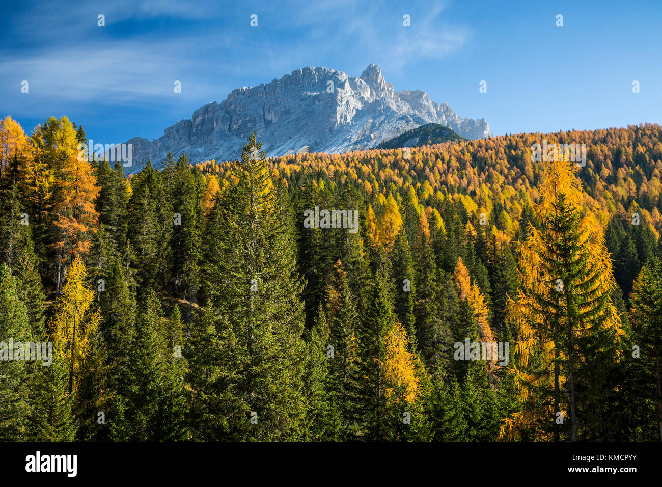 The Dolomite mountain range with fall foliage color near Auronzo di Cadore, Belluno, Veneto, northern Italy, Europe. Stock Photo