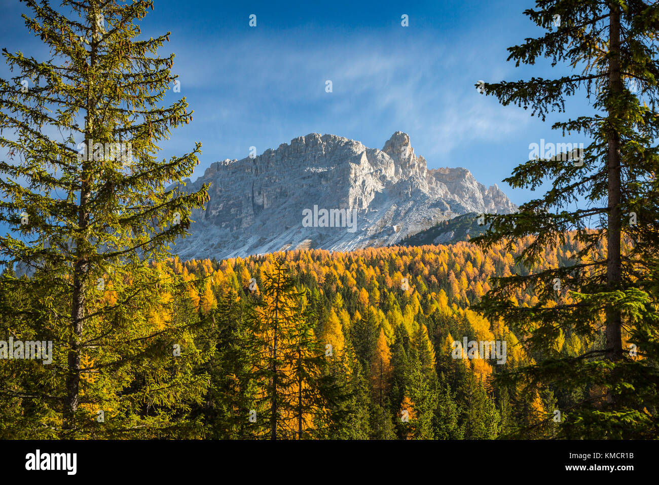 The Dolomite mountain range with fall foliage color near Auronzo di Cadore, Belluno, Veneto, northern Italy, Europe. Stock Photo