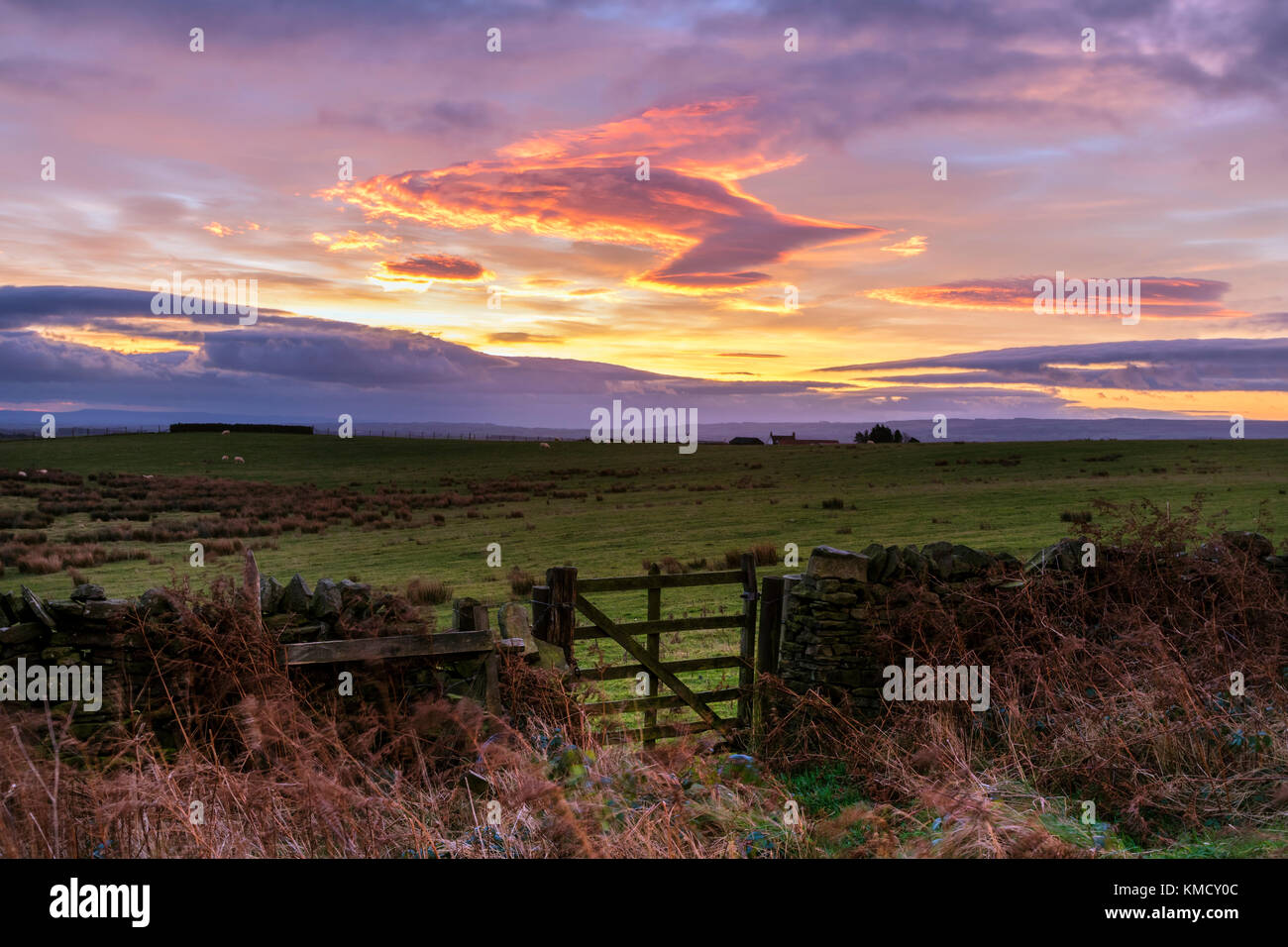 Teesdale, County Durham, UK.  Wednesday 6th December 2017. UK Weather.   Shepherds Warning Sky and gathering storm clouds as Storm Caroline approaches the Northern half of the UK. Storm Caroline is expected to hit Scotland early tomorrow morning bringing storm force winds of up to 80mph.  Credit: David Forster/Alamy Live News Stock Photo