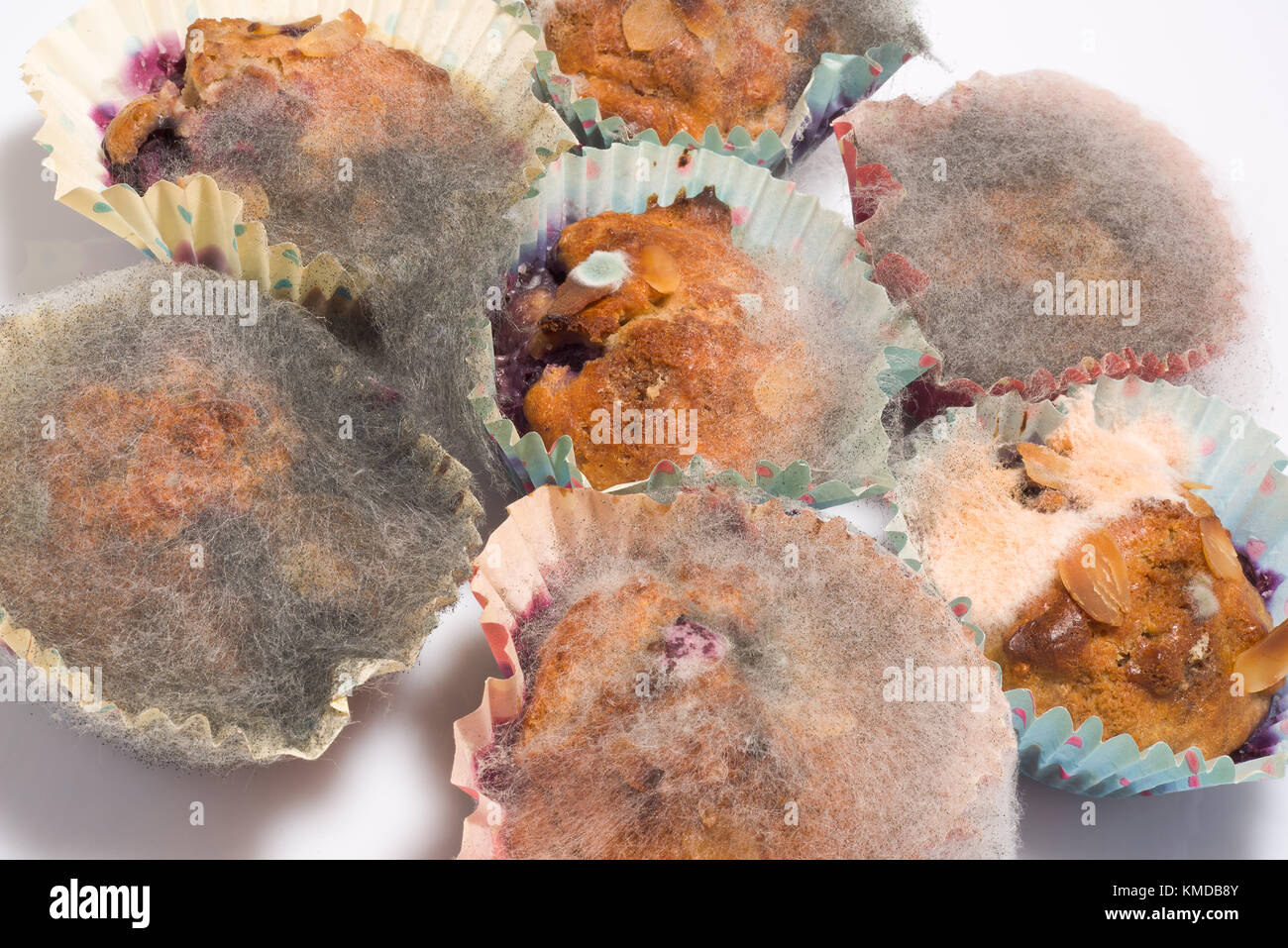 Food moldy hires stock photography and images Alamy