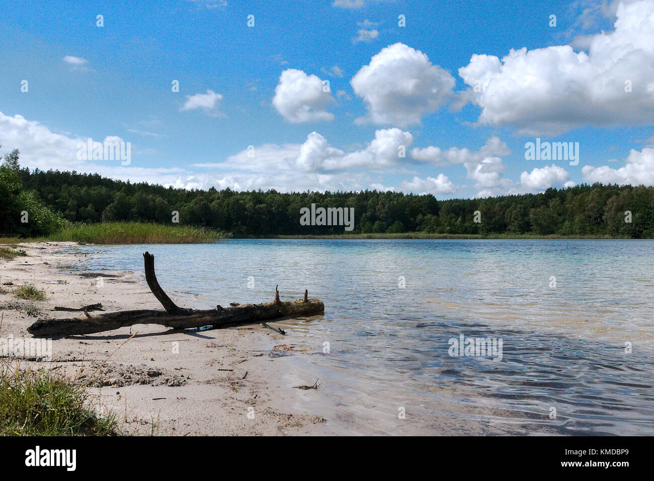 Bezaubernde Seen - Seenlandschaft in Mecklenburg - Environment protection - Umweltschutz - Wasserschutz - water protection Stock Photo