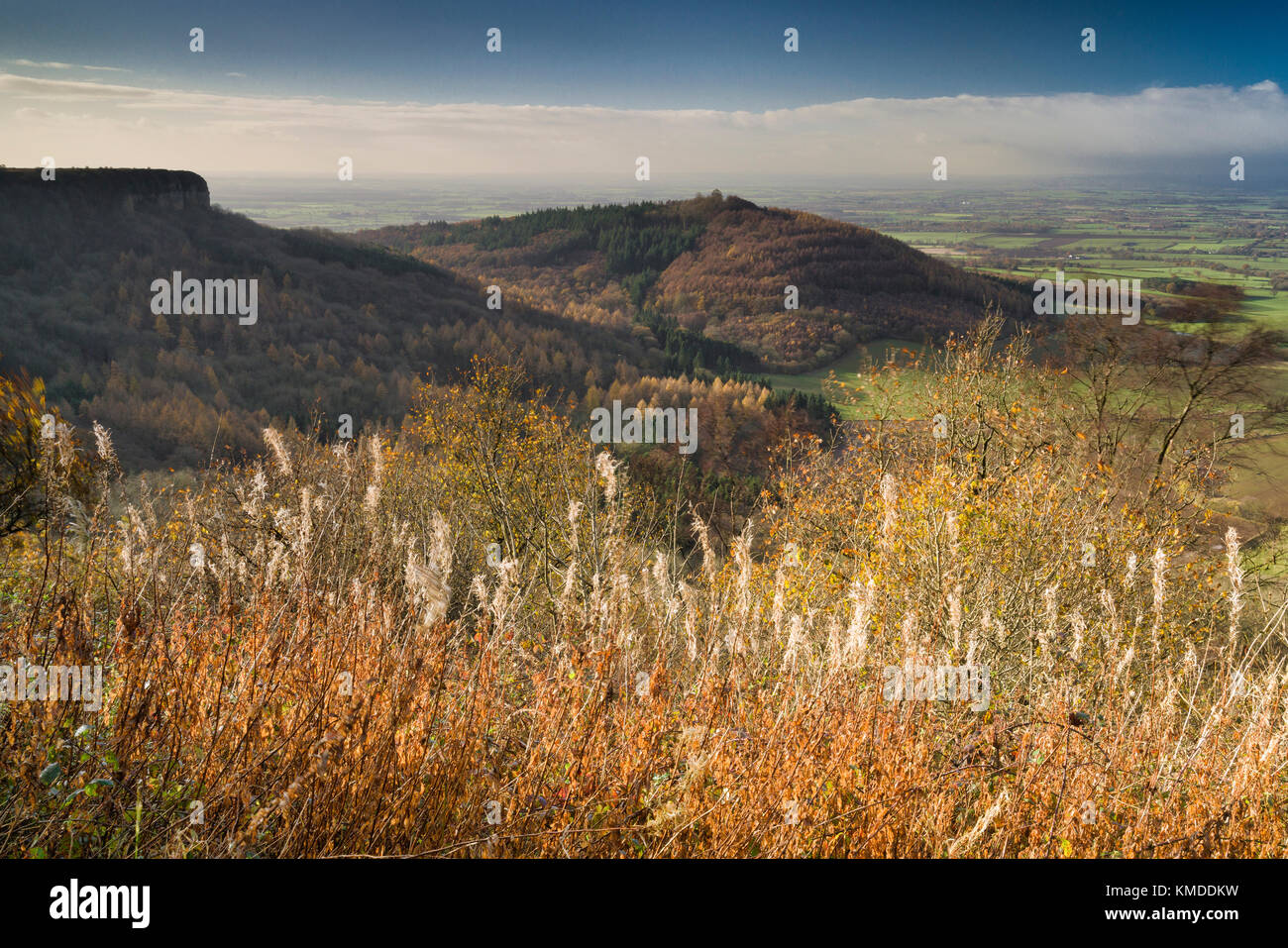 Roulston Scar and Hood Hill viewed from Sutton Bank on a sunny autumnal day. Stock Photo