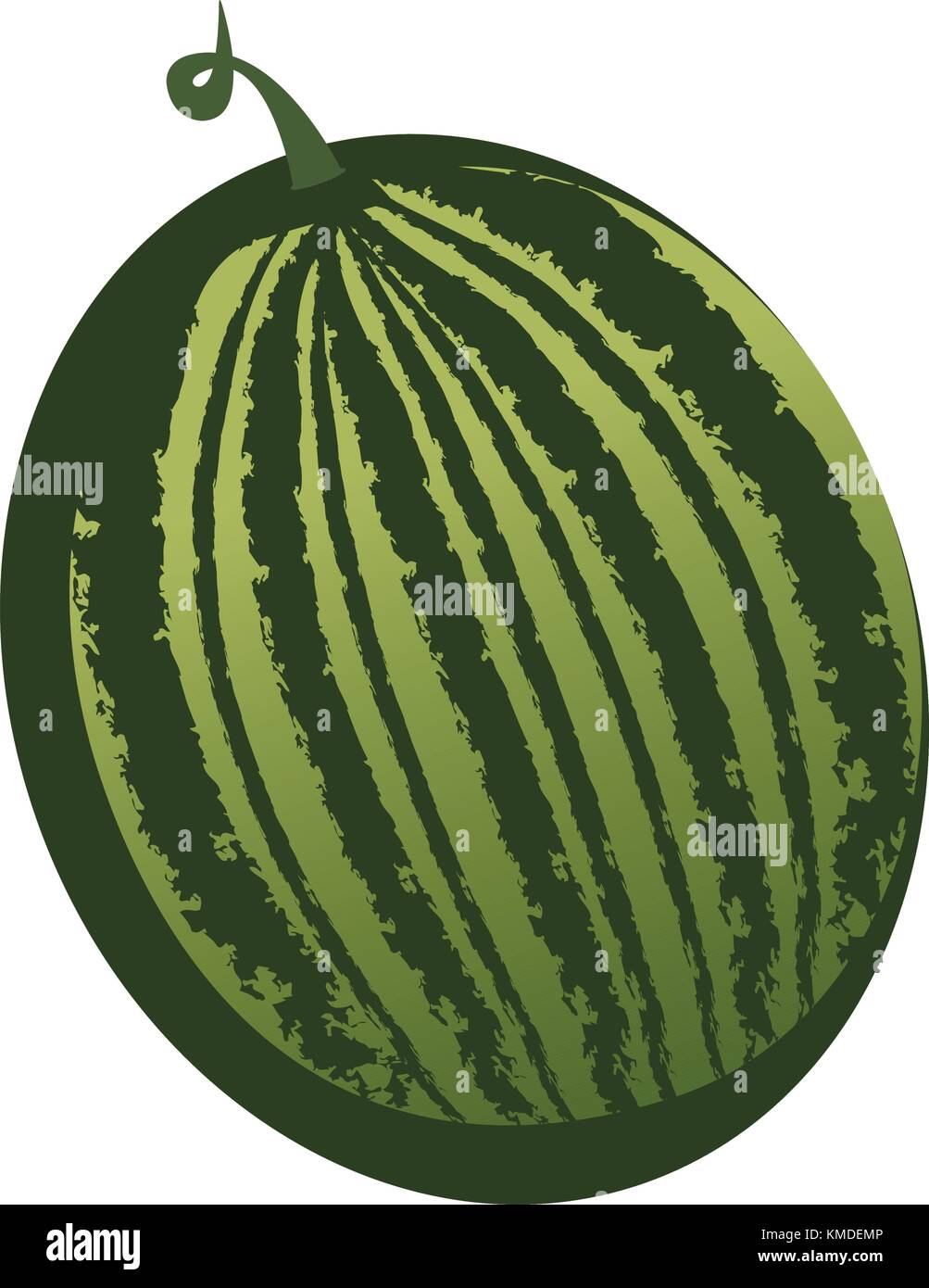 Isolated watermelon illustration Stock Vector Image & Art - Alamy