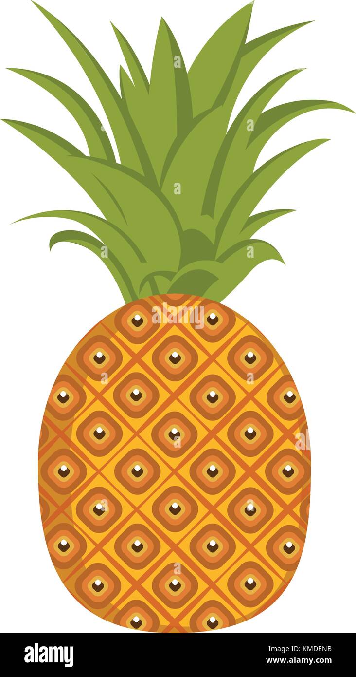 Isolated pineapple illustration Stock Vector Image & Art - Alamy