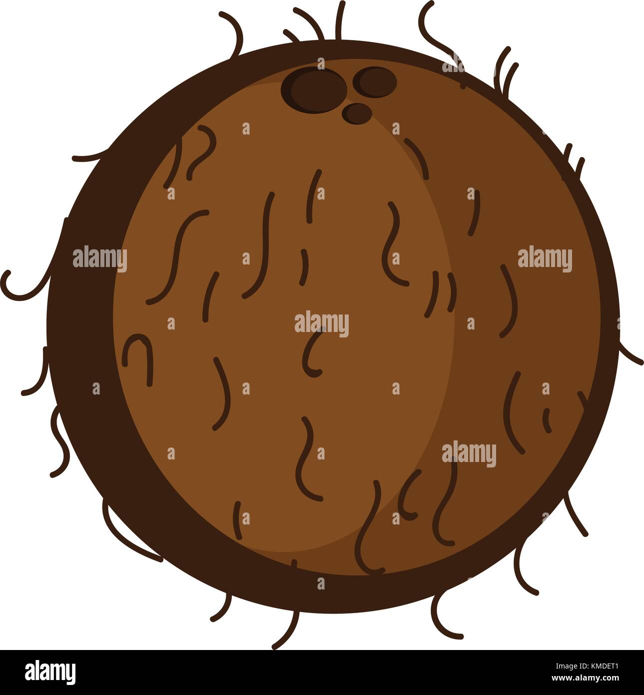 Isolated coconut illustration Stock Vector Image & Art - Alamy