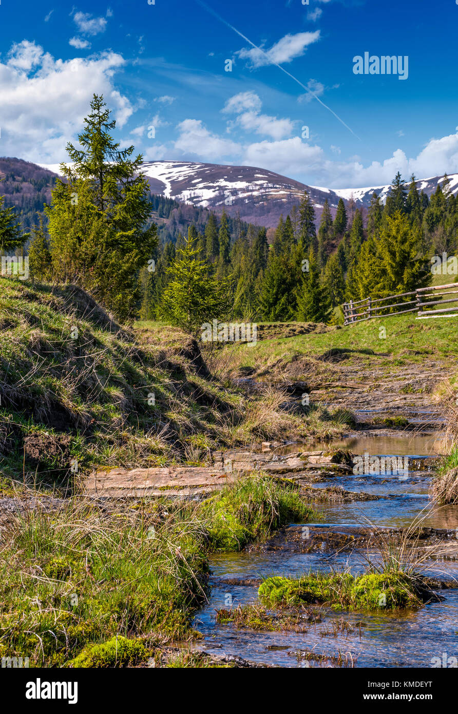 beautiful mountainous countryside in springtime. trees and wooden fence on hillside near the small brook. spruce forest at the foot of the mountain ri Stock Photo