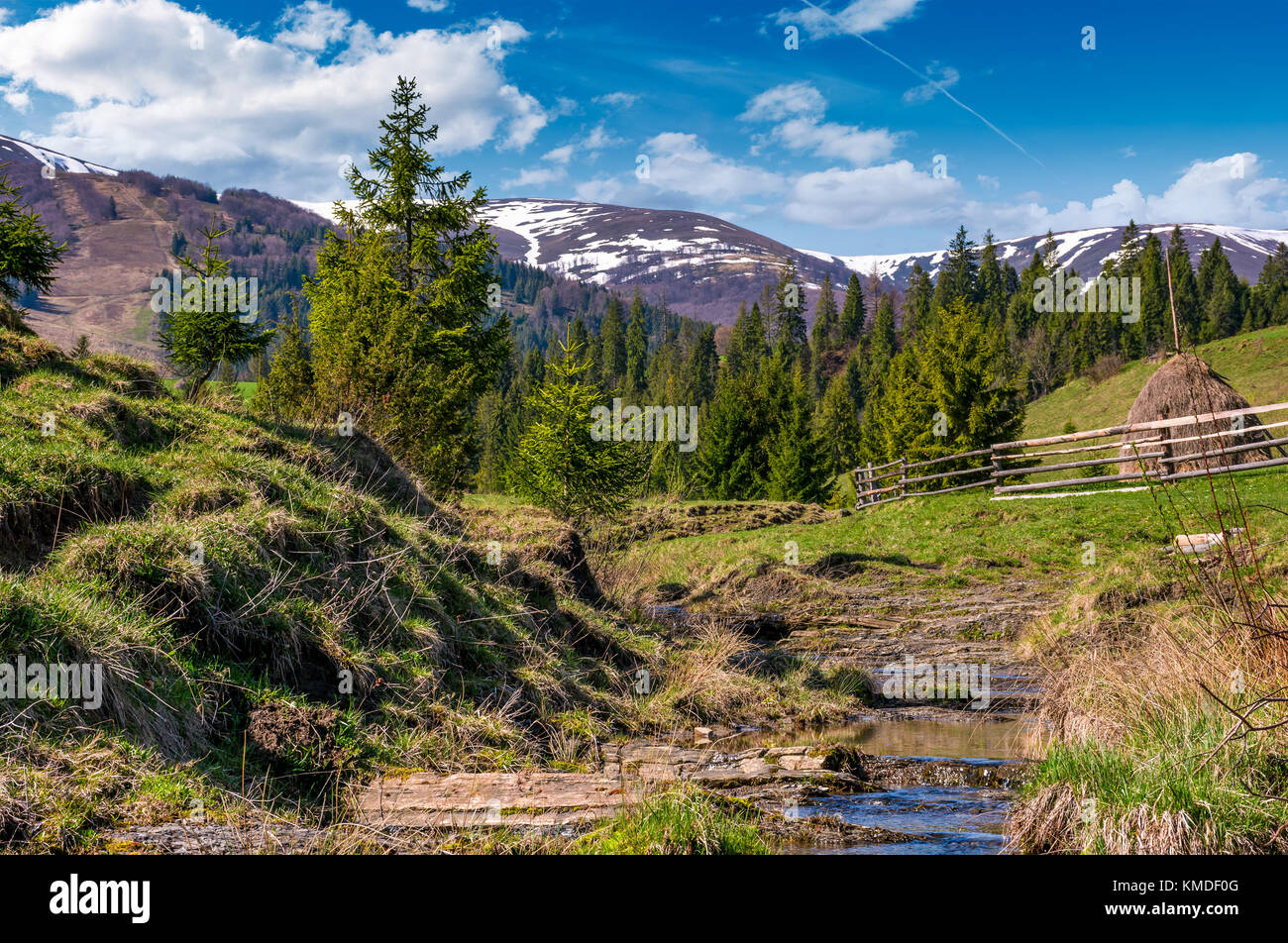 beautiful mountainous countryside in springtime. trees and wooden fence on hillside near the small brook. spruce forest at the foot of the mountain ri Stock Photo
