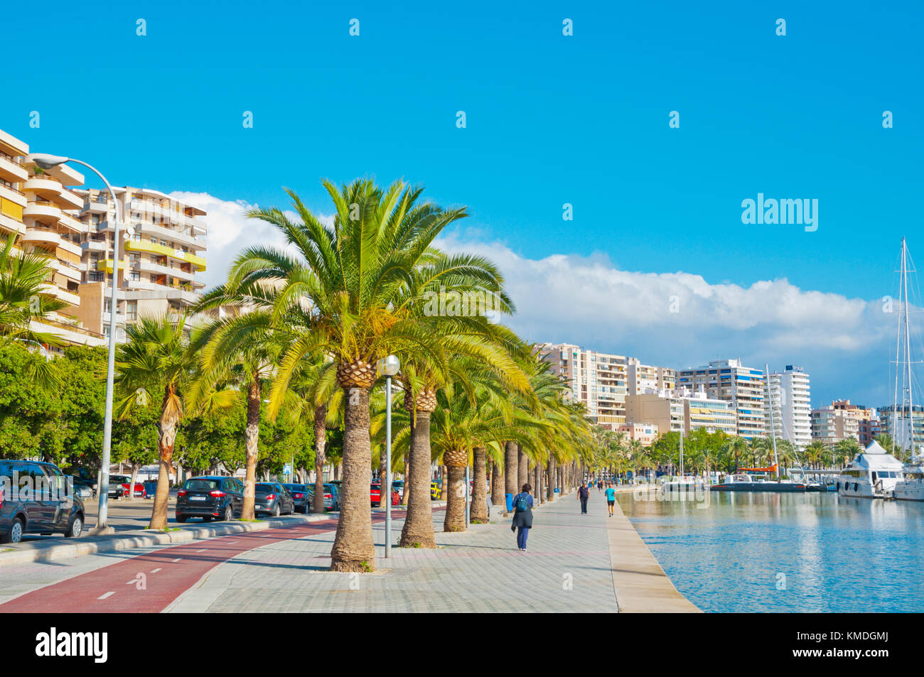 Seaside promenade, Paseo Maritimo, Passeig Maritim, Avinguda de Gabriel Roca, Palma, Mallorca, Balearic islands, Spain Stock Photo