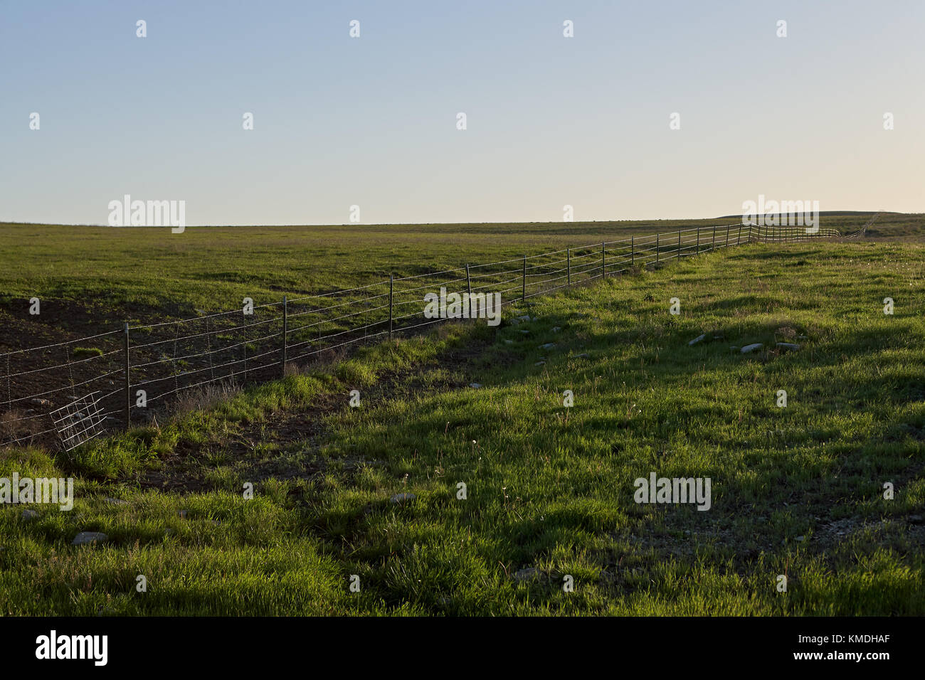 Rustic barbed wire fence through lush green pastures in Kansas, USA, in