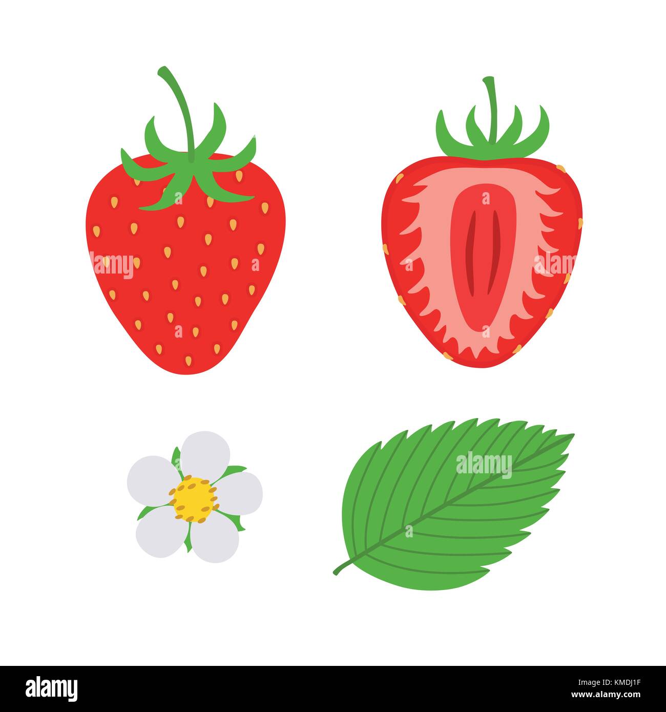 red berry strawberry and a half of strawberry. Set flower, petal ...