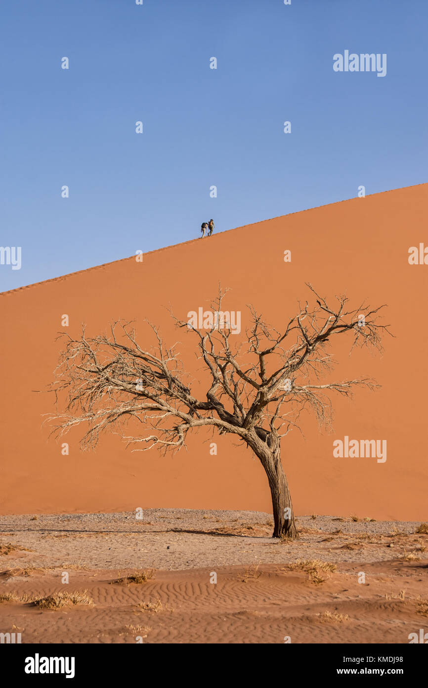 Tourists climbing a dune in the Namibian desert Stock Photo - Alamy
