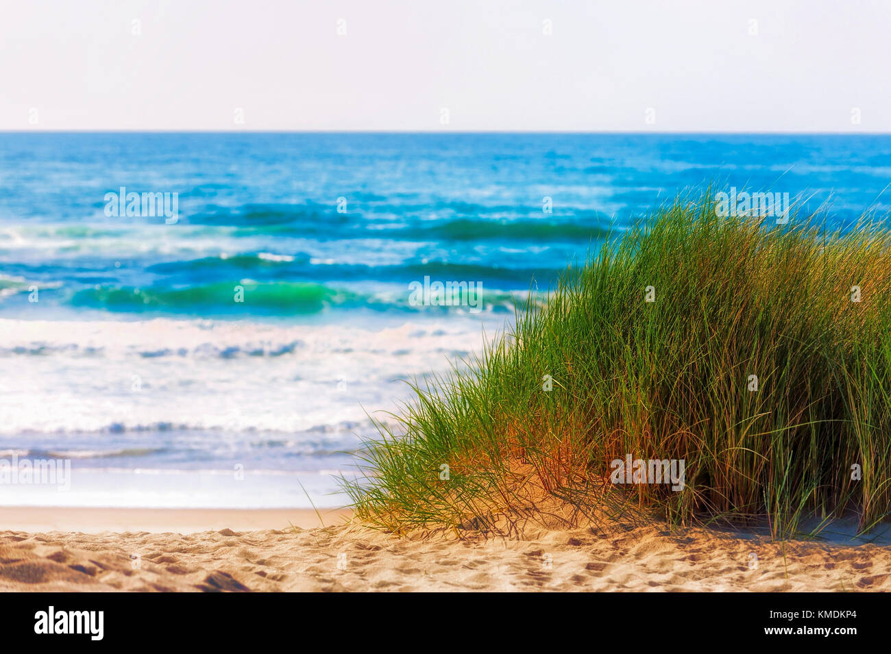 A mound of grass on a sandy beach with waves rolling in from the sea in the background Stock Photo