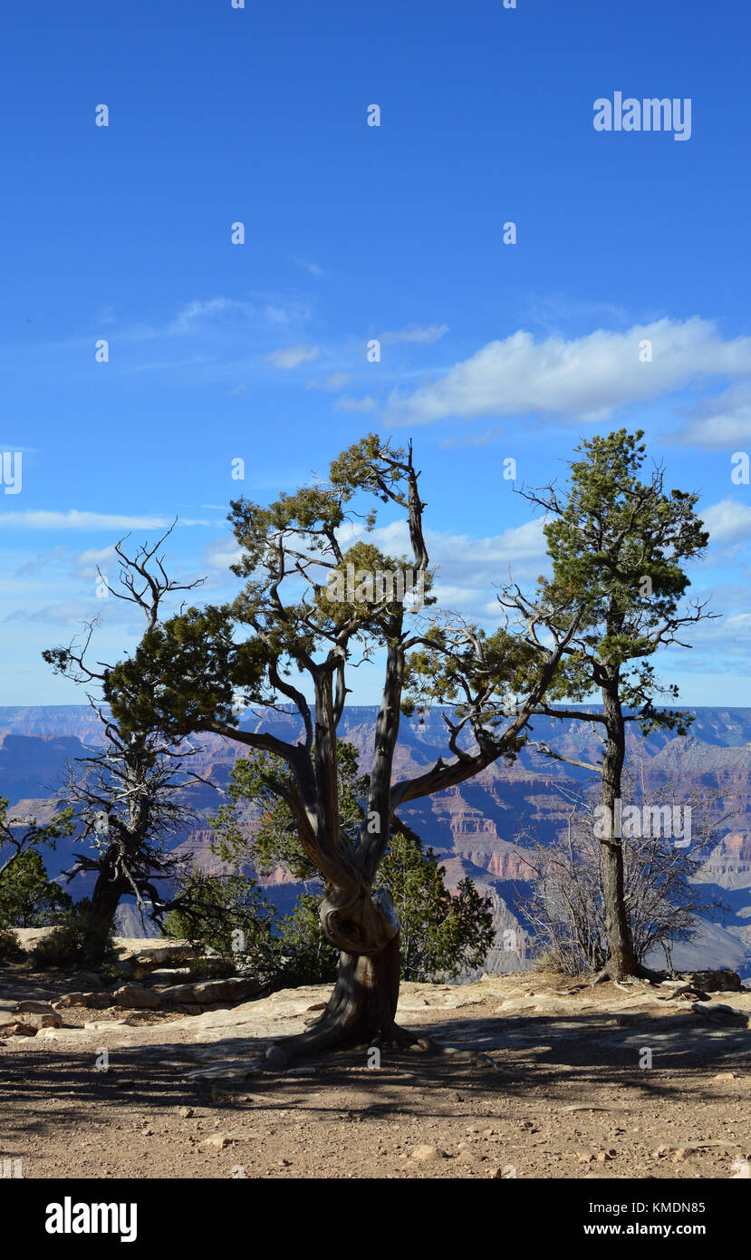 a view of the Grand canyon, Arizona, USA. One of the world wonder. Stock Photo
