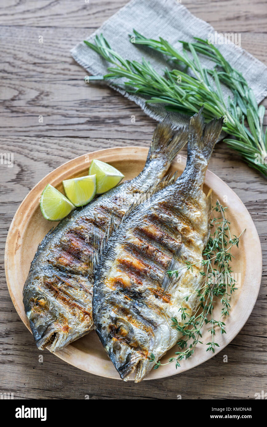 Dorade Royale Fish Stock Photo - Alamy