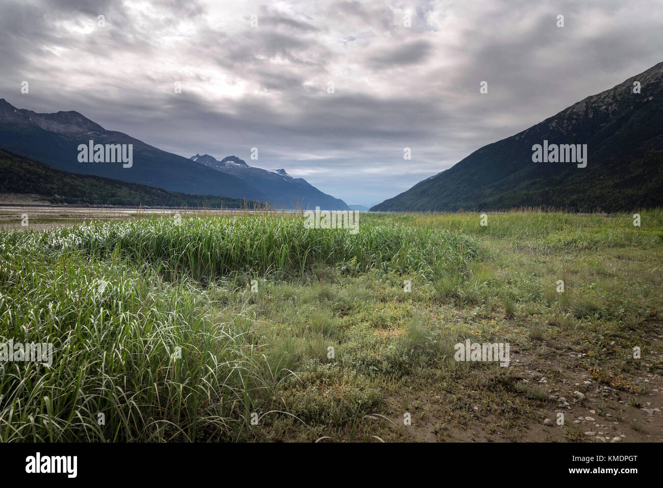Alaskan landscape at Dyea whicih is near Skagway Stock Photo