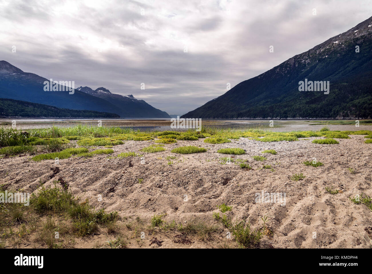 Alaskan landscape at Dyea which is near Skagway Stock Photo