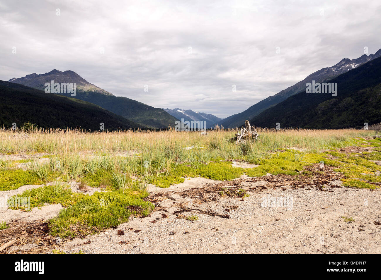 Landscape scenery near Skagway, Alaska Stock Photo