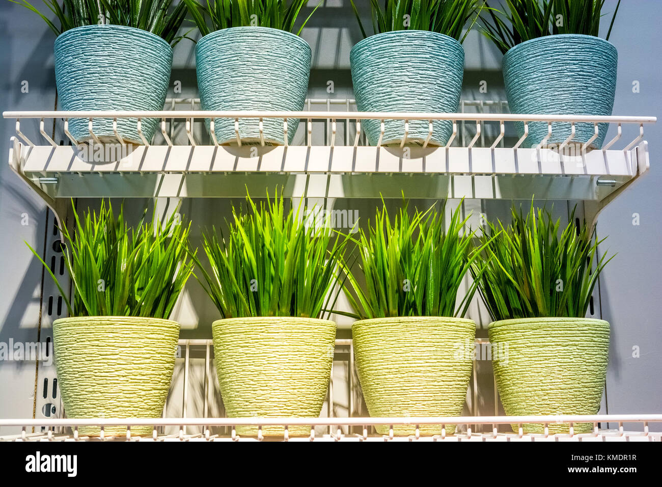 Small Decorative Plants In Pots In Shop Stock Photo 167489891 Alamy