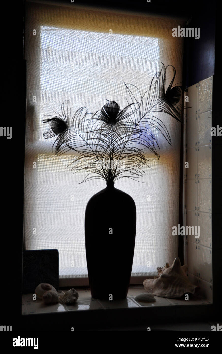 Peacock Feathers In A Vase Stock Photo 167493086 Alamy