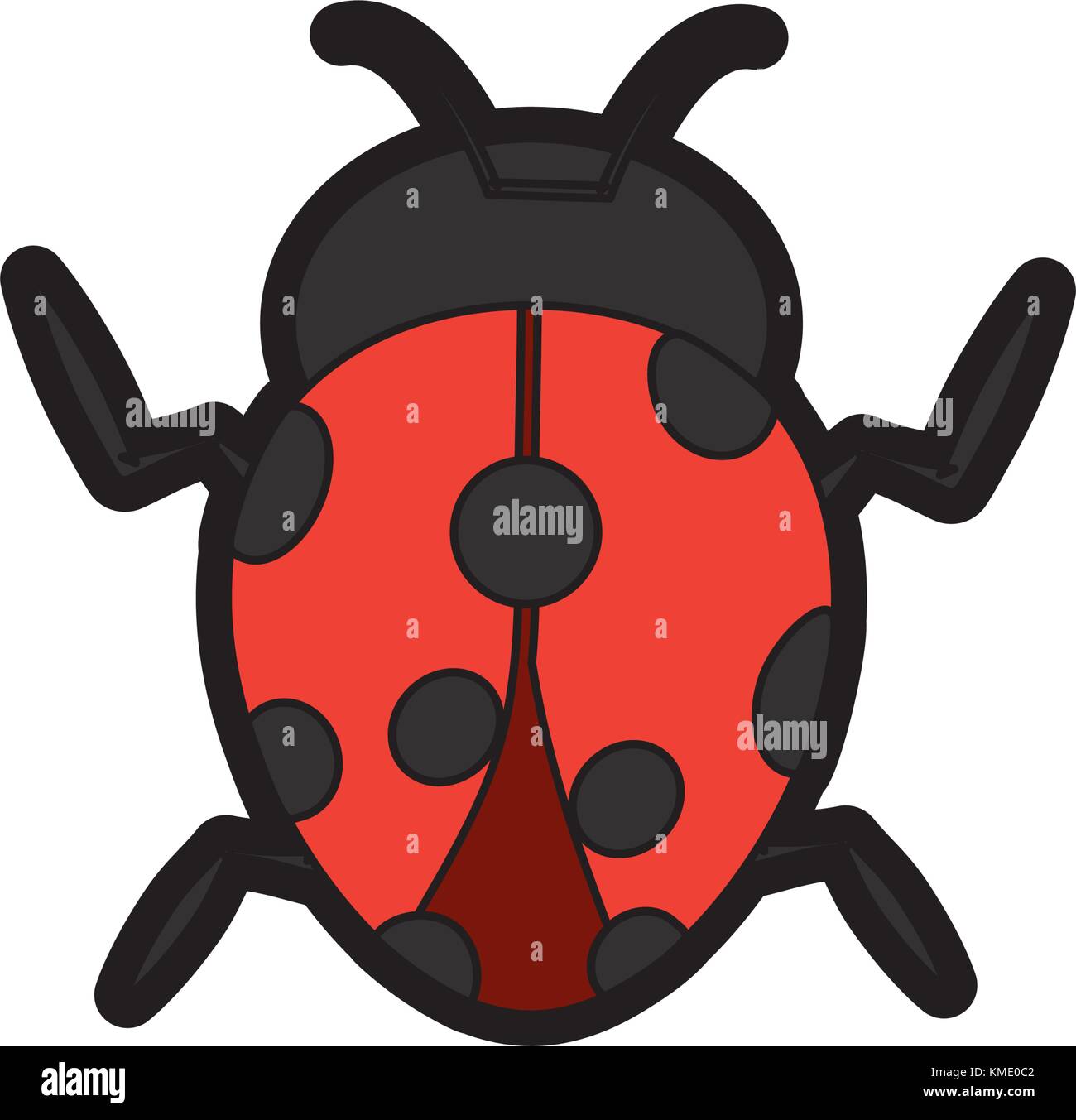 ladybug arthropod insect single icon Stock Vector Image & Art - Alamy
