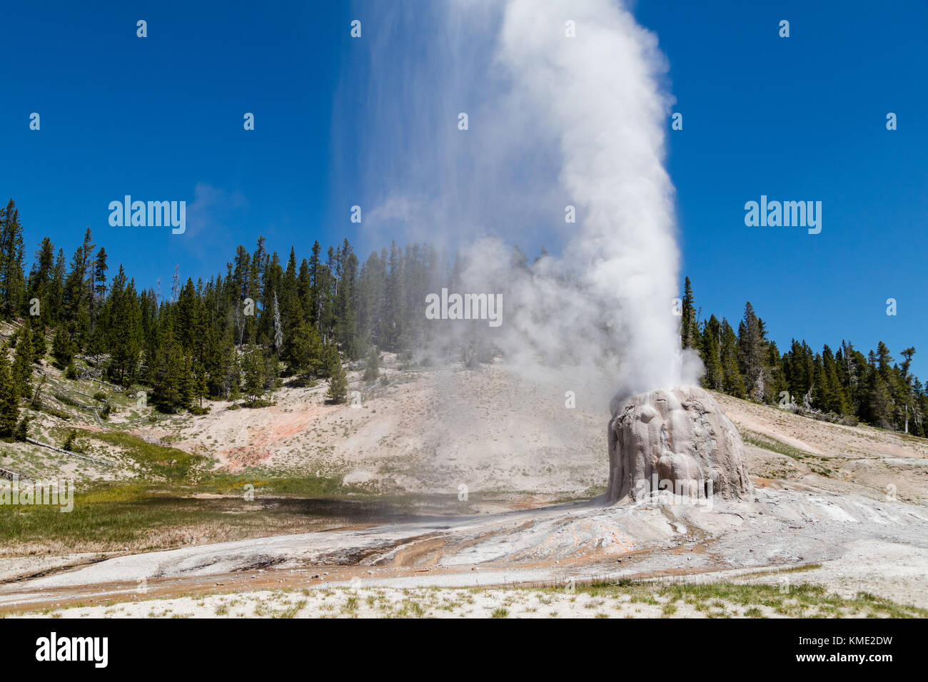 The Lonestar Geyser erupts at the Upper Geyser Basin at the Yellowstone National Park June 25, 2017 in Wyoming.  (photo by Jacob W. Frank via Planetpix) Stock Photo