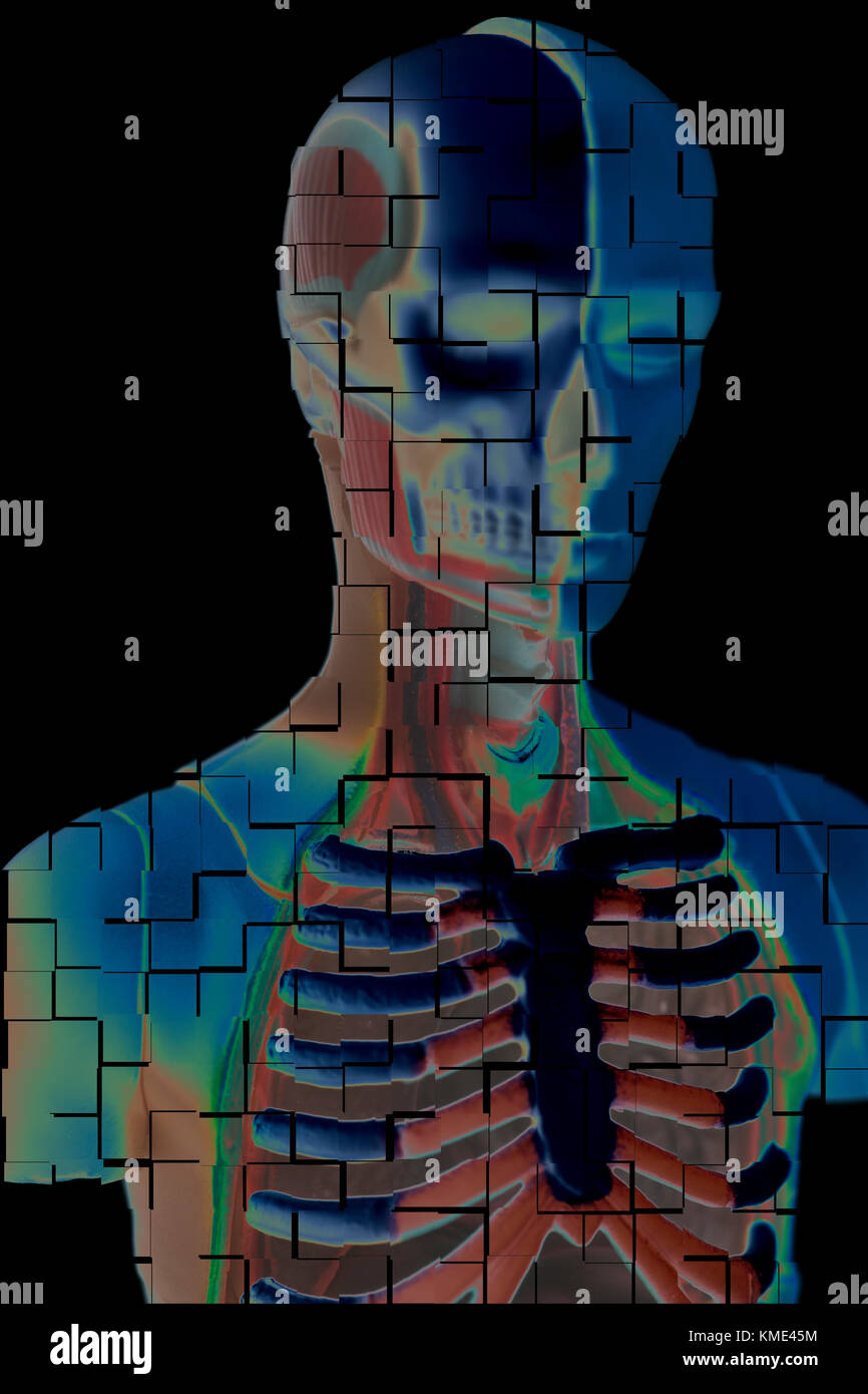 Human Body Anatomy Model 3D illustration on black background Stock ...