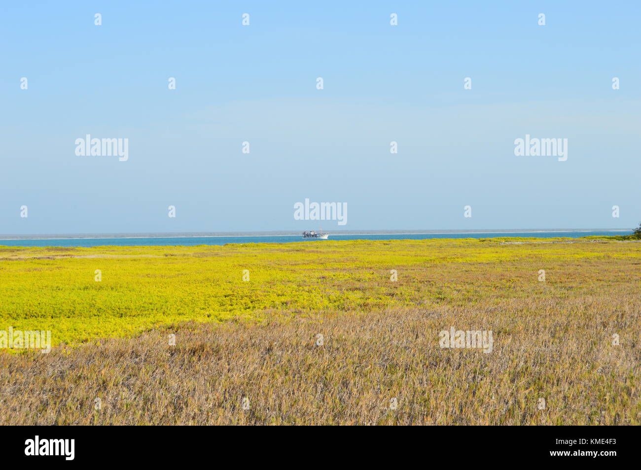 Sand and grass on the beach in turtle island. Venezuela Stock Photo