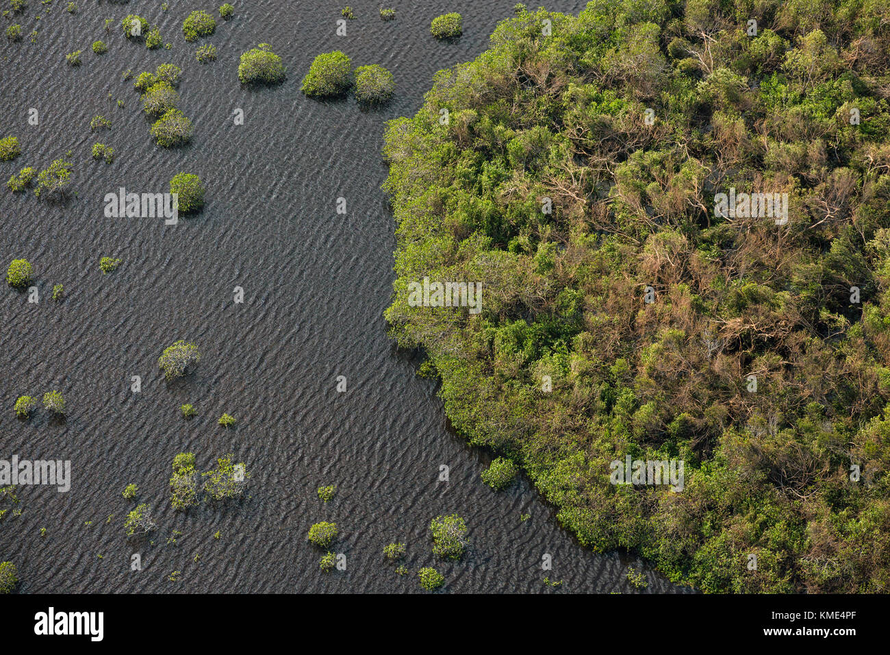 The normally crystalclear blue waters of the Florida Keys are brown