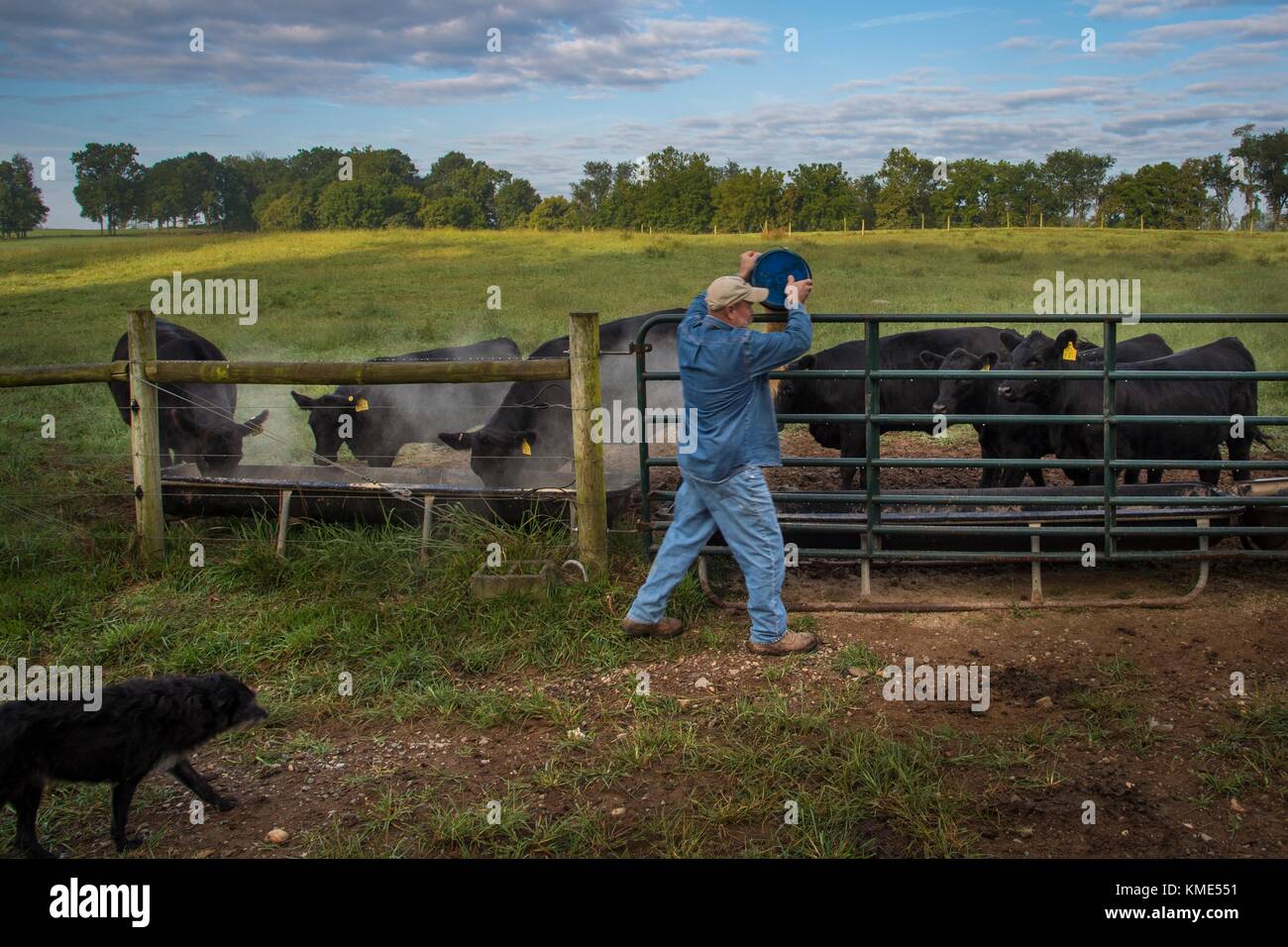 Stonewall angus llc hires stock photography and images Alamy