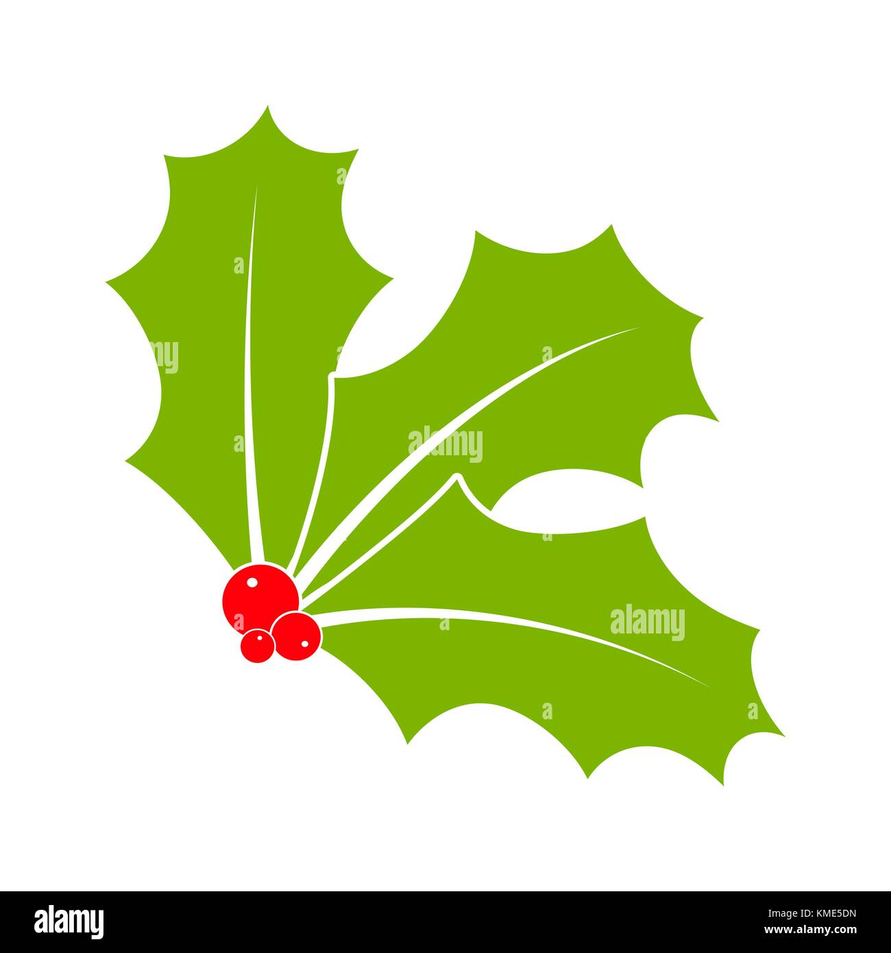 Holly berry for christmas isolated on white background Stock Vector ...