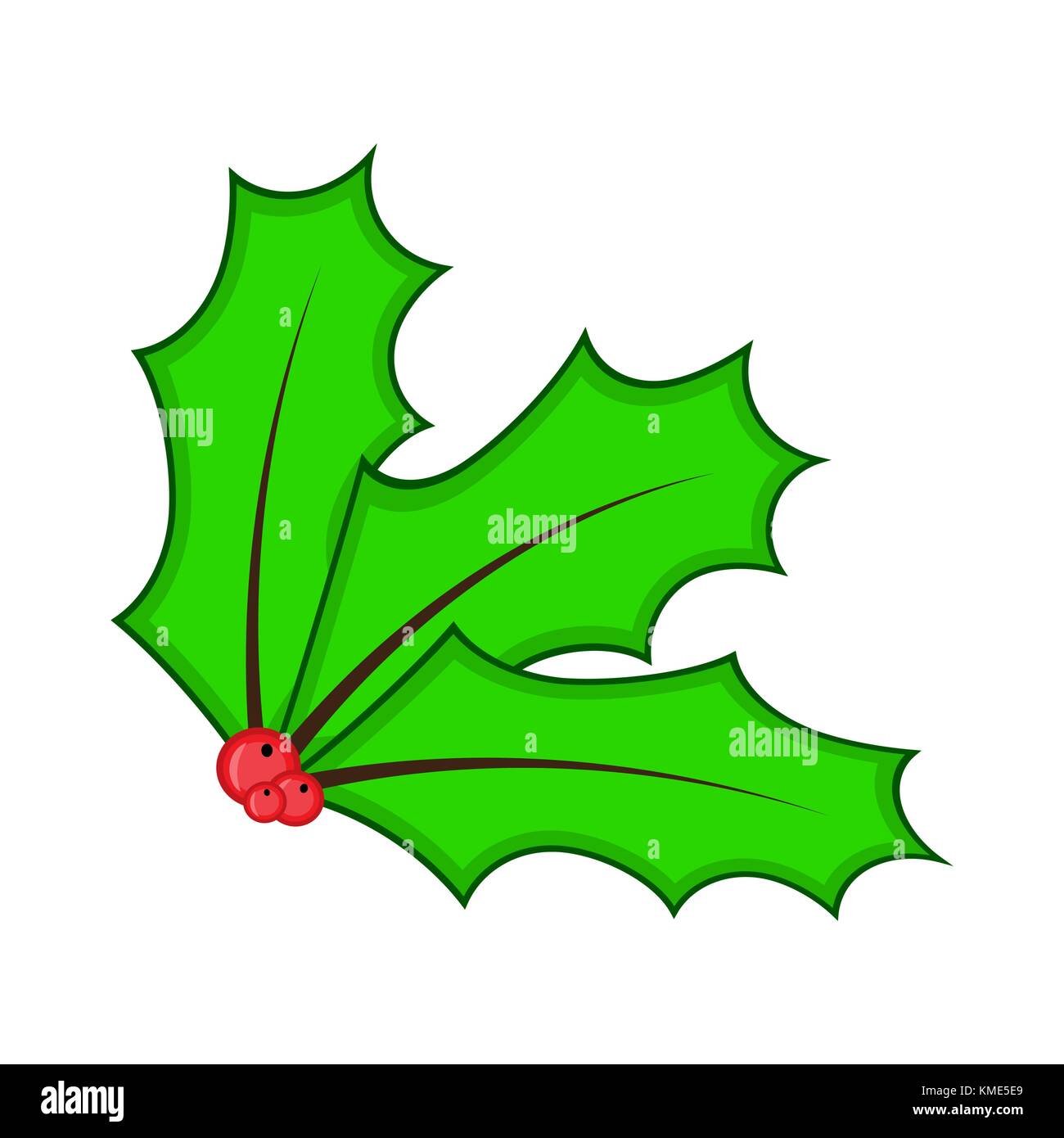 Holly berry for christmas isolated on white background Stock Vector ...