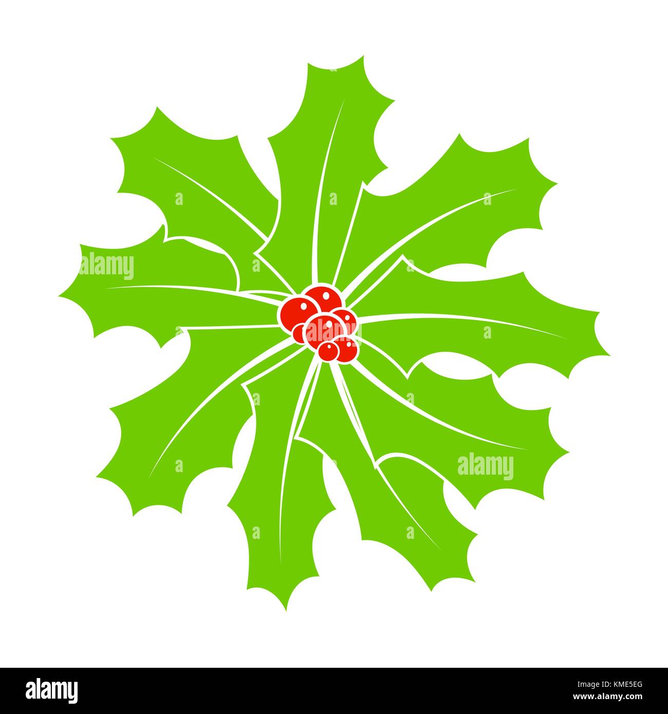 Holly berry for christmas isolated on white background Stock Vector ...