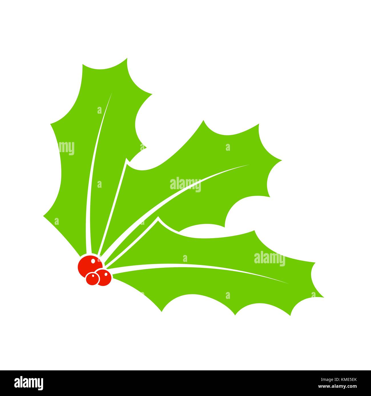 Holly berry for christmas isolated on white background Stock Vector