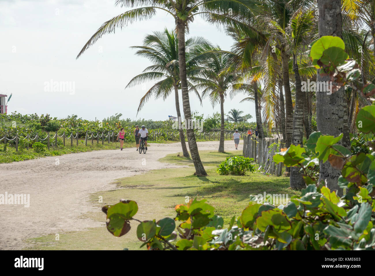 walking path at North Shore open space park, Miami Beach, Florida Stock Photo