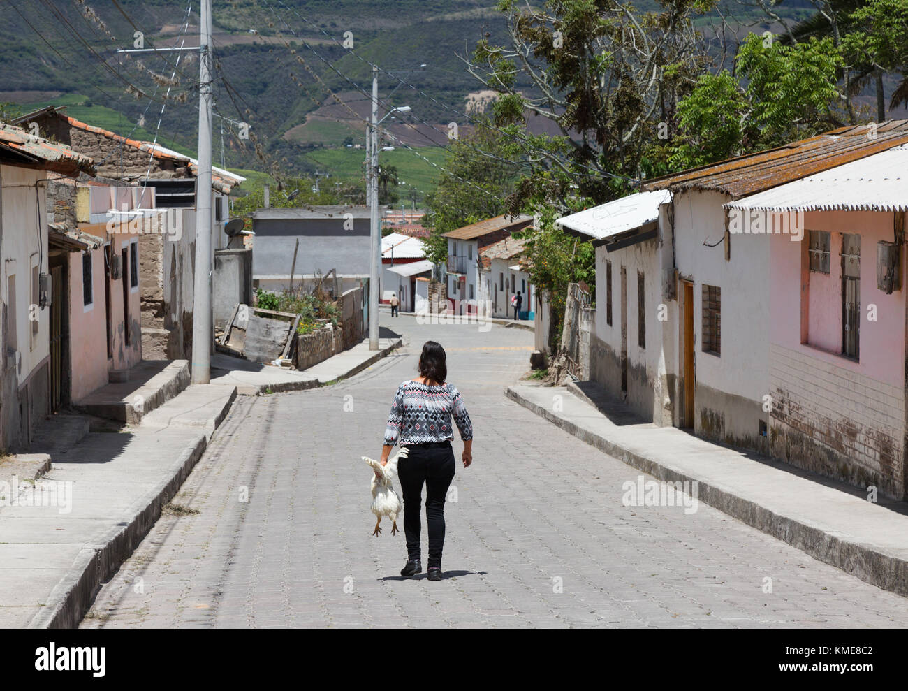 Ecuador village scene; woman carrying chicken seen from back, Tumbabiro, northern Ecuador South America Stock Photo