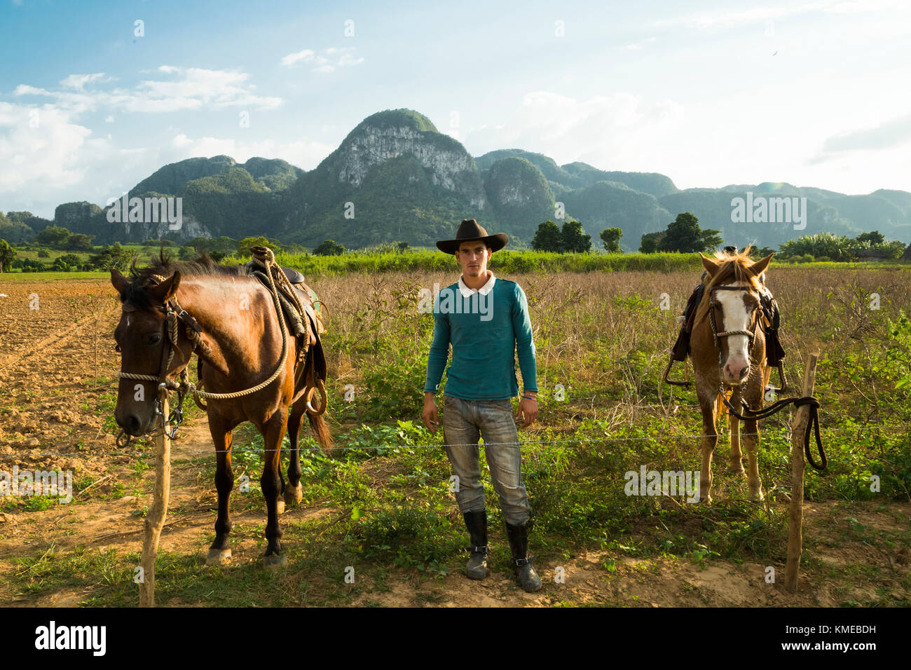 Horse riding tour through tobacco fincas plantations in Vinales valley,western Cuba Stock Photo