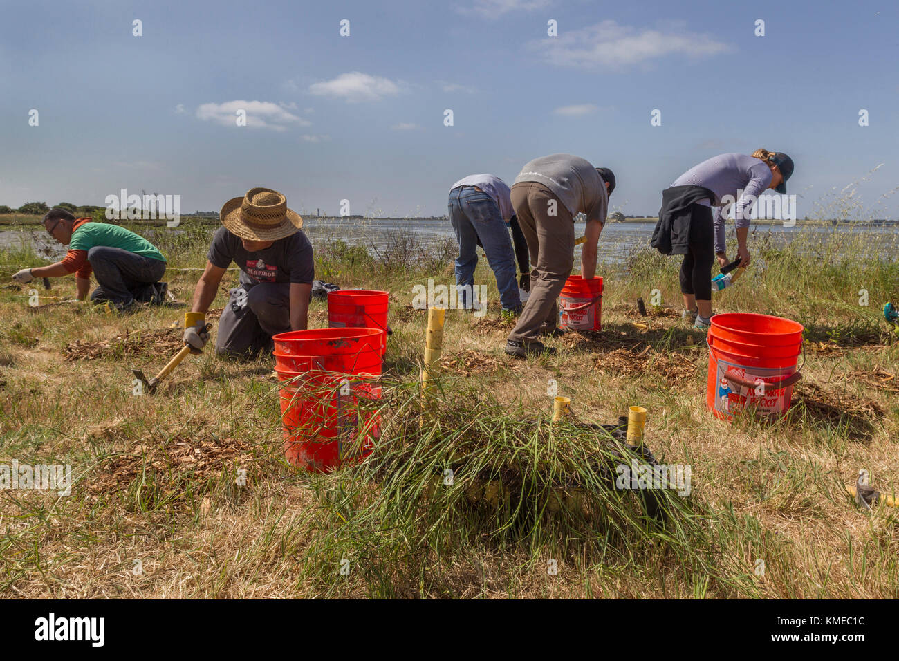 Five people working at cleanup event,MLK Shoreline,Oakland,California,USA Stock Photo