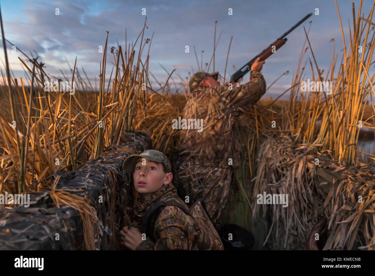 father and son duck hunting, Suisun Marsh, Suisun City, California, USA Stock Photo