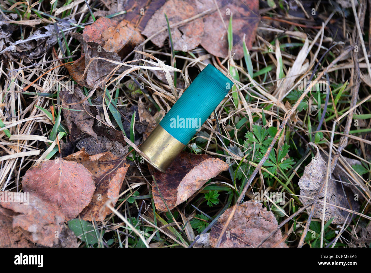 12 Gauge Shotgun Shell Hi Res Stock Photography And Images Alamy
