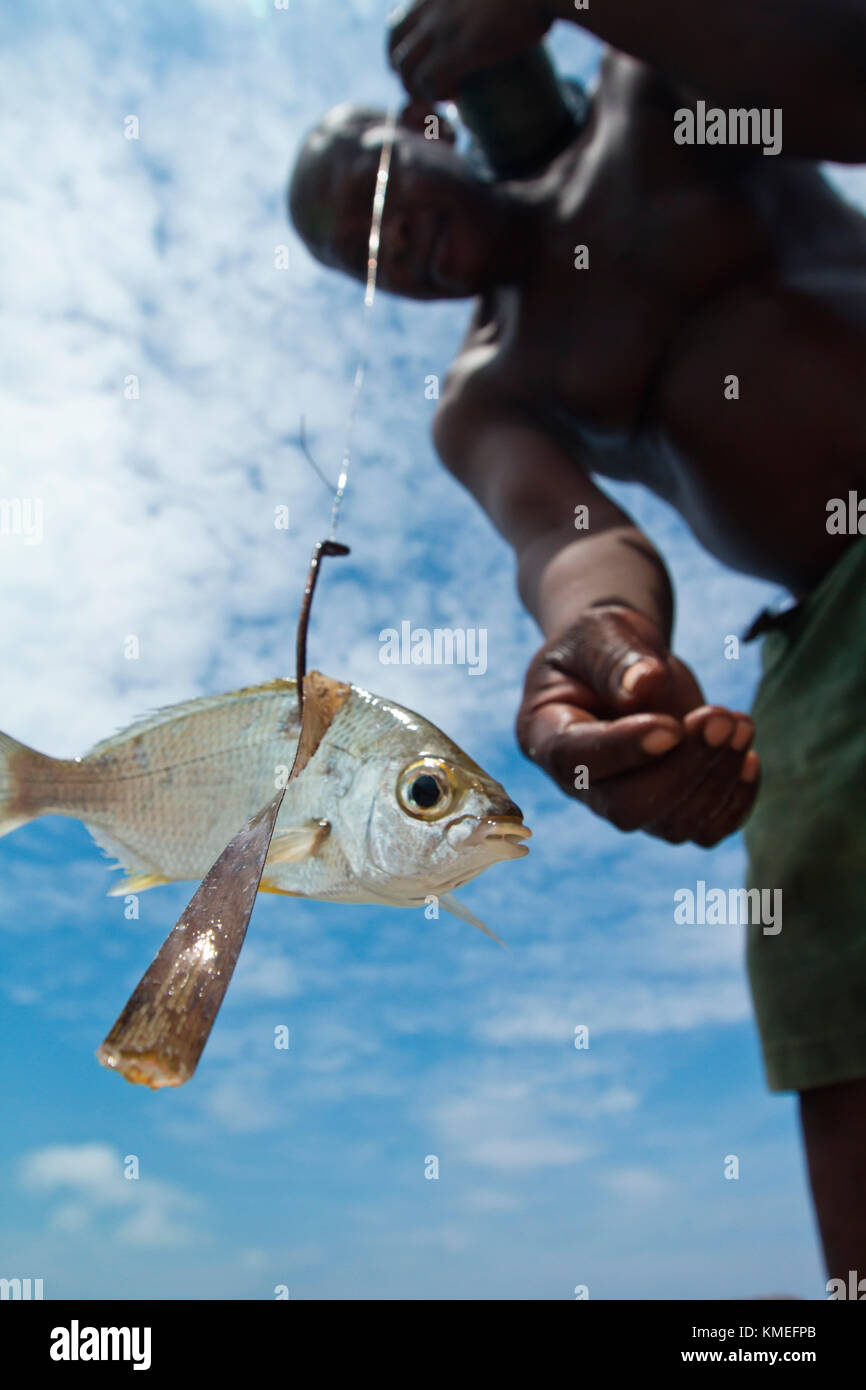 View from below of shirtless man holding fishing line with fish, Isla Marisol, Belize Stock Photo