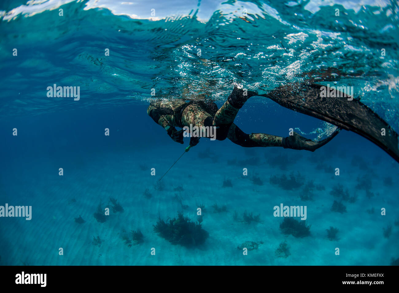 Man swimming underwater while spearfishing in ocean, Clarence Town, Long Island, Bahamas Stock Photo