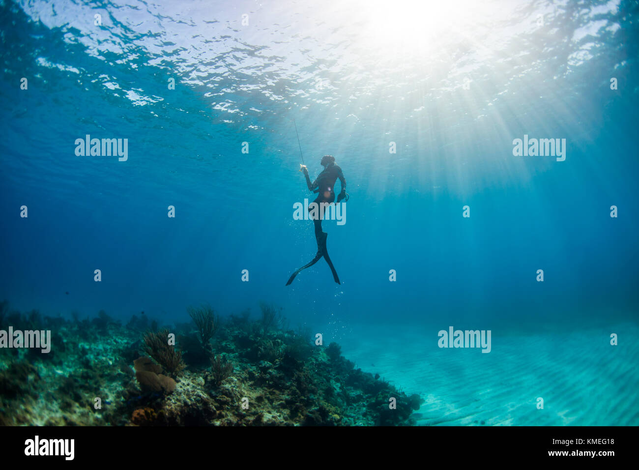 Diver surfacing after spearfishing underwater, Clarence Town, Long Island, Bahamas Stock Photo