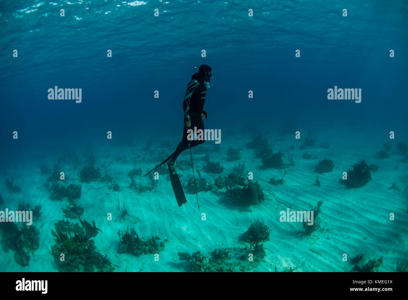 Spearfishing hi-res stock photography and images - Alamy