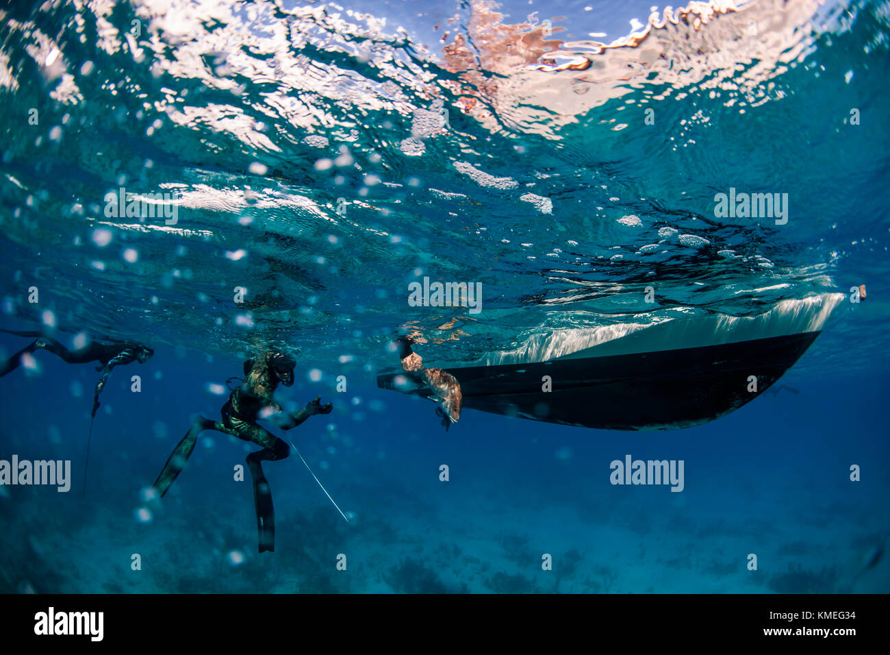 Diver loading caught fish while spearfishing into boat, Clarence Town, Long Island, Bahamas Stock Photo