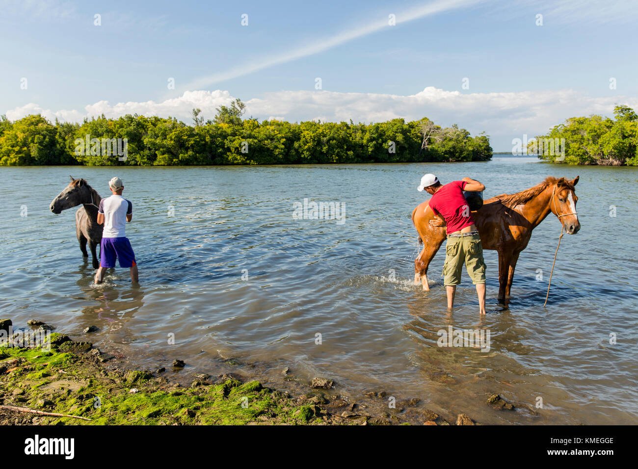 Two men wash their horses in Boca de San Diego, Cuba. Stock Photo