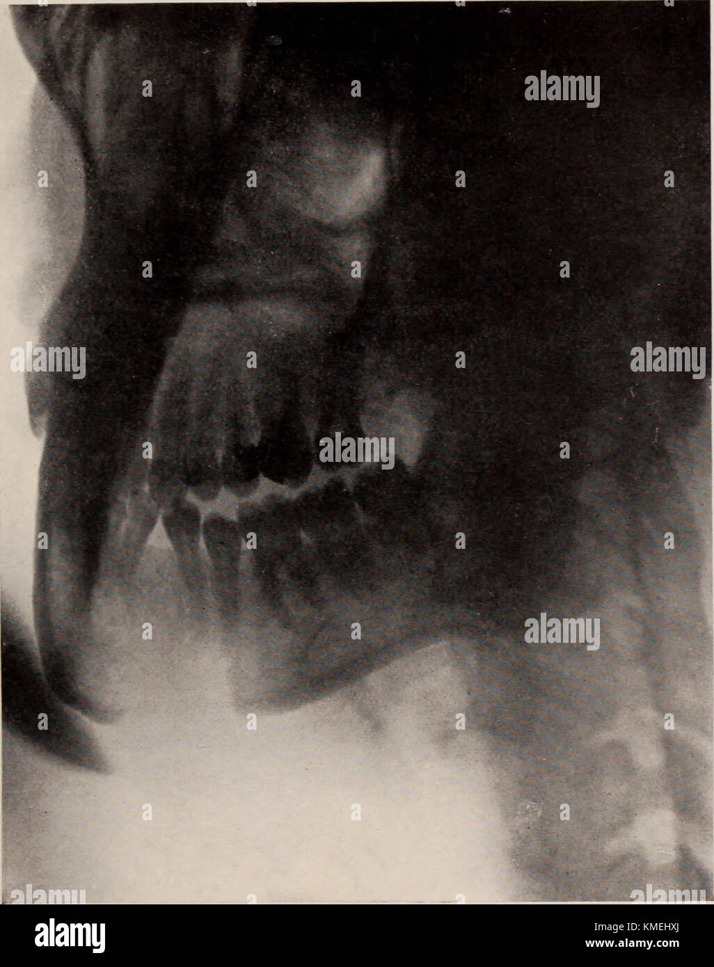 "Dental and oral radiography a text book for students and