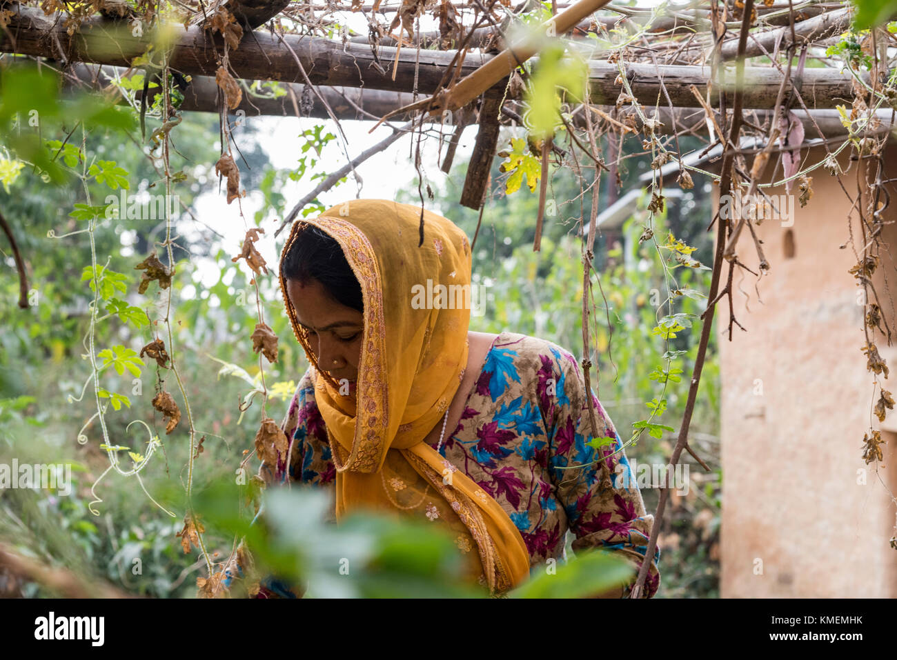Indian woman portrait park hi-res stock photography and images - Alamy
