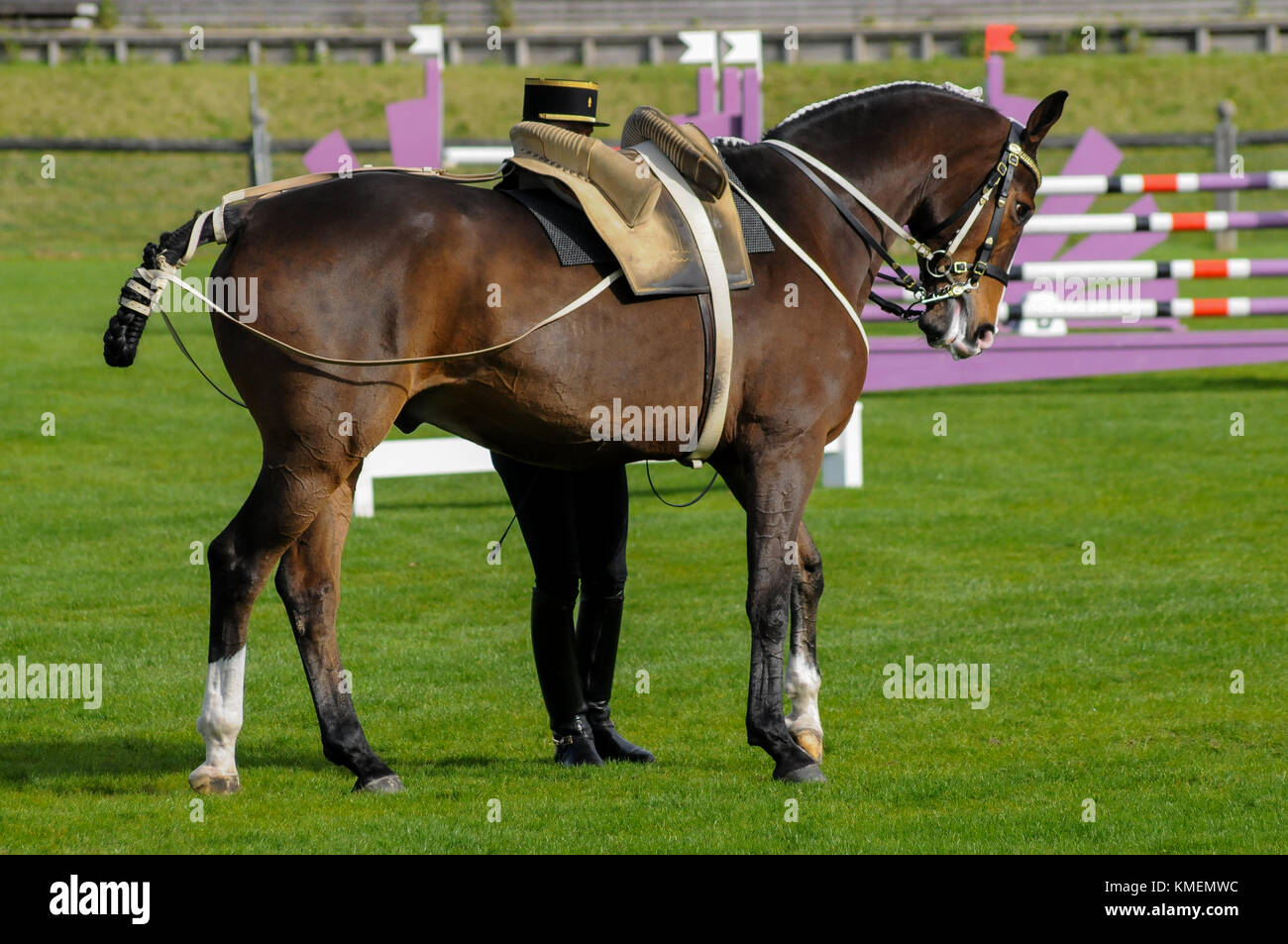 The Cadre Noir, an Equestrian Display Team based in the city of Saumur in  western France Stock Photo - Alamy